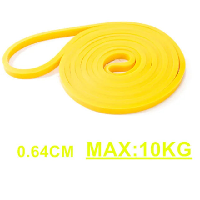 Elastic Belt
