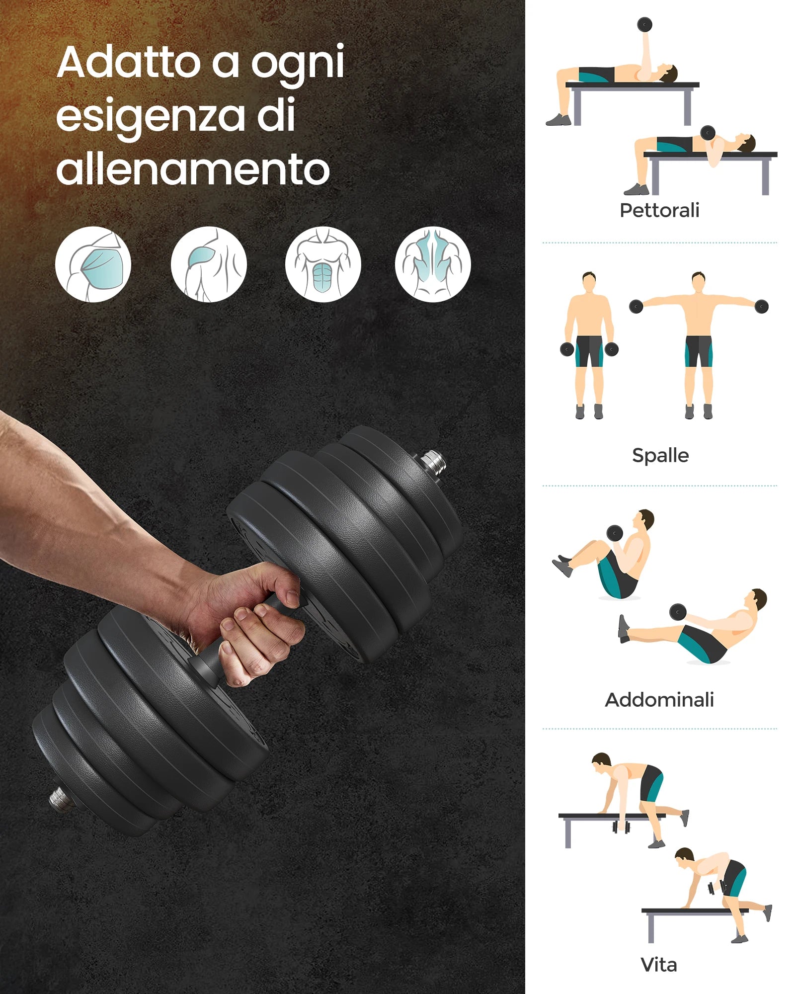 Dumbbells Set